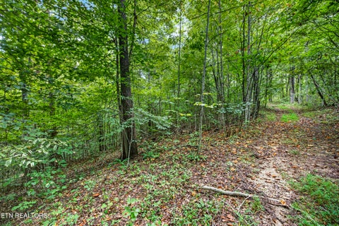 Tiny photo for 2526 Timber Ridge Lane, Celina, TN 38551 (MLS # 1359400)