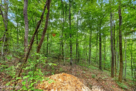 Tiny photo for 2526 Timber Ridge Lane, Celina, TN 38551 (MLS # 1359400)