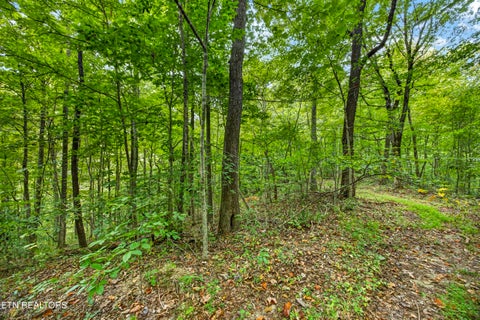 Tiny photo for 2526 Timber Ridge Lane, Celina, TN 38551 (MLS # 1359400)