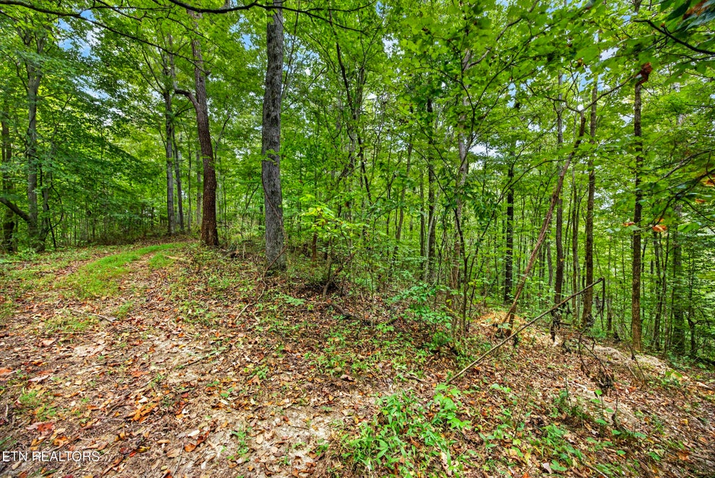 Photo of 2526 Timber Ridge Lane, Celina, TN 38551 (MLS # 1359400)