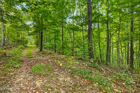 Tiny photo for 2526 Timber Ridge Lane, Celina, TN 38551 (MLS # 1359400)