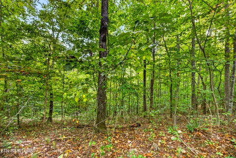 Tiny photo for 2526 Timber Ridge Lane, Celina, TN 38551 (MLS # 1359400)