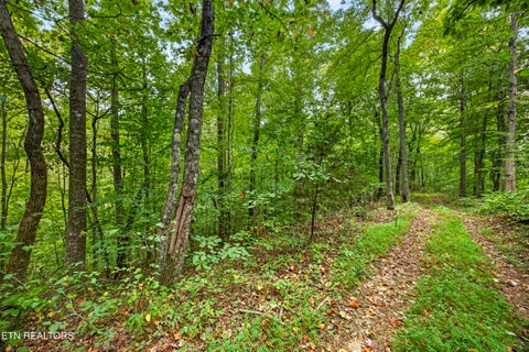 Tiny photo for 2526 Timber Ridge Lane, Celina, TN 38551 (MLS # 1359400)