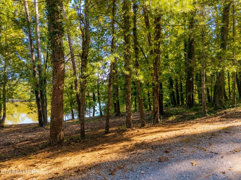 Tiny photo for Devault Rd, Louisville, TN 37777 (MLS # 1357324)
