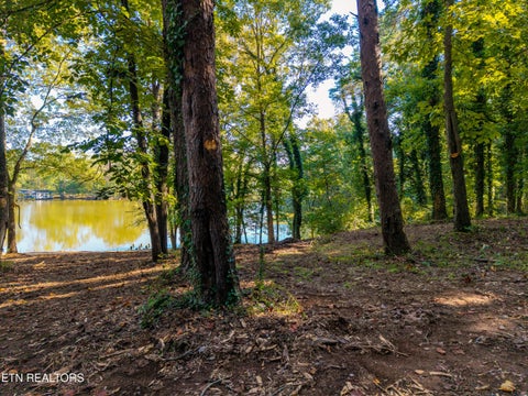 Tiny photo for Devault Rd, Louisville, TN 37777 (MLS # 1357324)