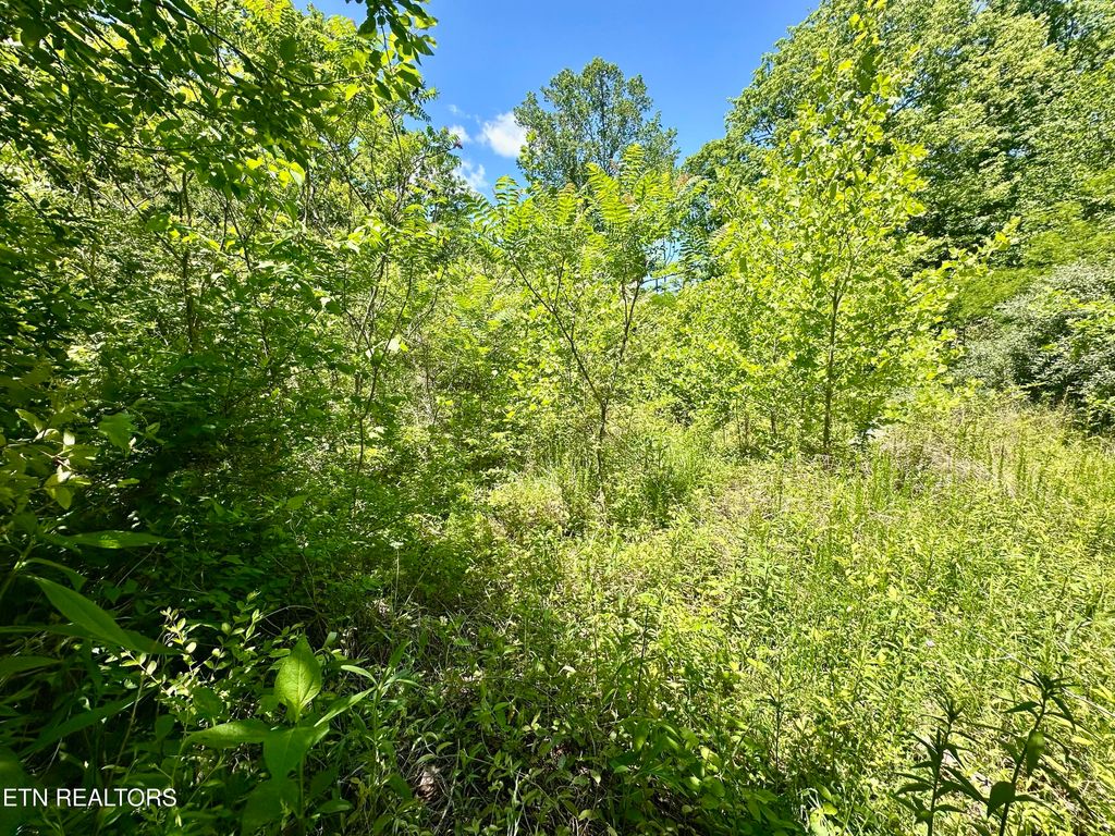 Photo of Stoney Fork Rd #141 020.00, Caryville, TN 37714 (MLS # 1340875)