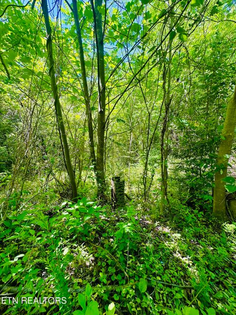 Photo of Stoney Fork Rd #141 020.00, Caryville, TN 37714 (MLS # 1340875)