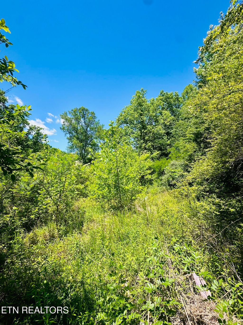 Photo of Stoney Fork Rd #141 020.00, Caryville, TN 37714 (MLS # 1340875)