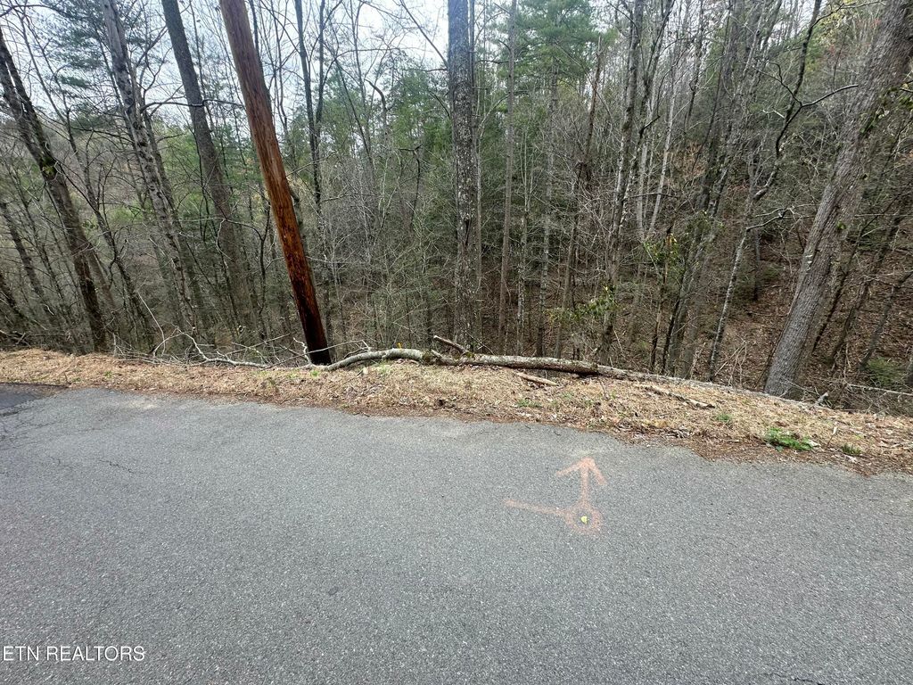Photo of Headrick Lead, Sevierville, TN 37862 (MLS # 1295022)