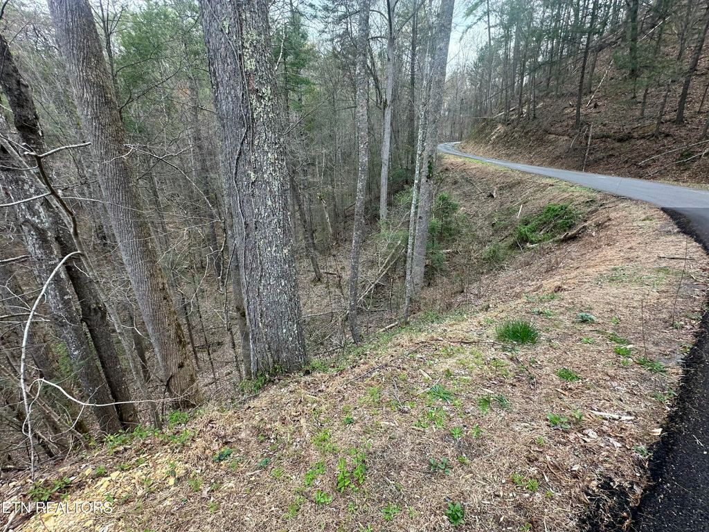 Photo of Headrick Lead, Sevierville, TN 37862 (MLS # 1295022)