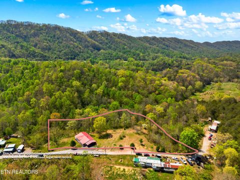 Tiny photo for 412 Thorn Hill School Rd, Thorn Hill, TN 37881 (MLS # 1337127)