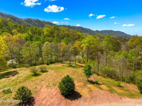 Tiny photo for 412 Thorn Hill School Rd, Thorn Hill, TN 37881 (MLS # 1337127)