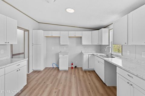 Tiny photo for 412 Thorn Hill School Rd, Thorn Hill, TN 37881 (MLS # 1337127)