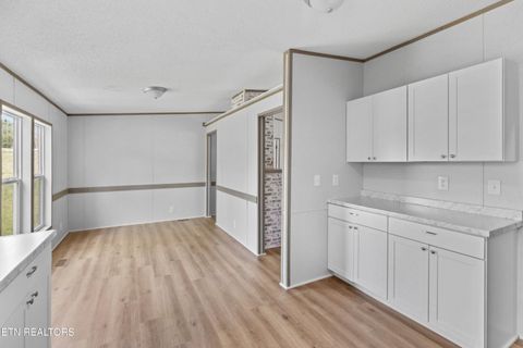 Tiny photo for 412 Thorn Hill School Rd, Thorn Hill, TN 37881 (MLS # 1337127)