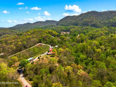 Tiny photo for 412 Thorn Hill School Rd, Thorn Hill, TN 37881 (MLS # 1337127)