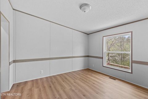 Tiny photo for 412 Thorn Hill School Rd, Thorn Hill, TN 37881 (MLS # 1337127)