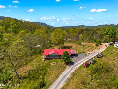 Tiny photo for 412 Thorn Hill School Rd, Thorn Hill, TN 37881 (MLS # 1337127)