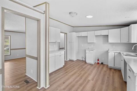 Tiny photo for 412 Thorn Hill School Rd, Thorn Hill, TN 37881 (MLS # 1337127)