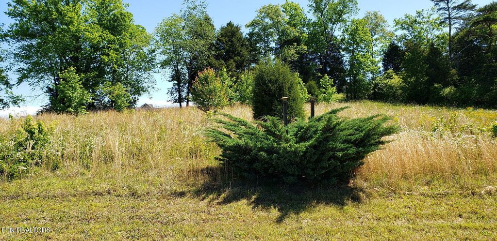 Photo of 501 W Shore Drive, Rockwood, TN 37854 (MLS # 1326602)