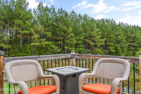 Tiny photo for 3851 Redman Lane, Decatur, TN 37322 (MLS # 1317916)