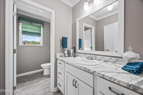 Tiny photo for 3851 Redman Lane, Decatur, TN 37322 (MLS # 1317916)