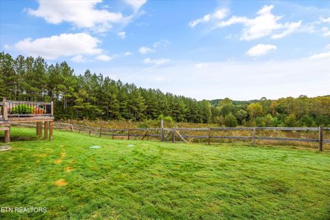 Tiny photo for 3851 Redman Lane, Decatur, TN 37322 (MLS # 1317916)