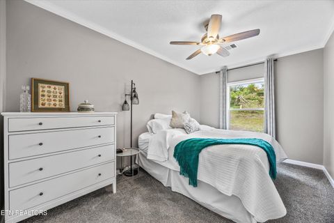 Tiny photo for 3851 Redman Lane, Decatur, TN 37322 (MLS # 1317916)