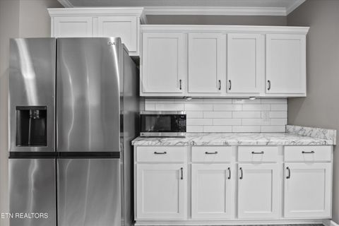 Tiny photo for 3851 Redman Lane, Decatur, TN 37322 (MLS # 1317916)