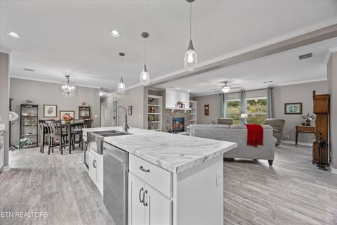 Tiny photo for 3851 Redman Lane, Decatur, TN 37322 (MLS # 1317916)