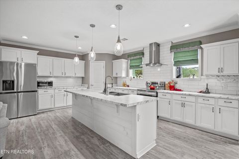 Tiny photo for 3851 Redman Lane, Decatur, TN 37322 (MLS # 1317916)
