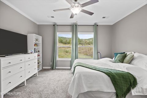 Tiny photo for 3851 Redman Lane, Decatur, TN 37322 (MLS # 1317916)