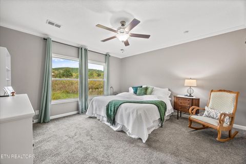 Tiny photo for 3851 Redman Lane, Decatur, TN 37322 (MLS # 1317916)