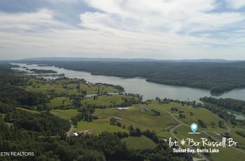 Tiny photo for 73 Russell Brothers Rd, Sharps Chapel, TN 37866 (MLS # 1318083)