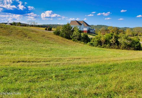 Tiny photo for 73 Russell Brothers Rd, Sharps Chapel, TN 37866 (MLS # 1318083)