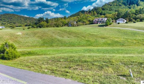 Tiny photo for 73 Russell Brothers Rd, Sharps Chapel, TN 37866 (MLS # 1318083)