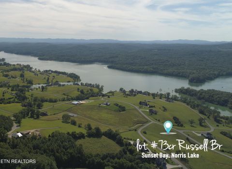 Photo of 73 Russell Brothers Rd, Sharps Chapel, TN 37866 (MLS # 1318083)