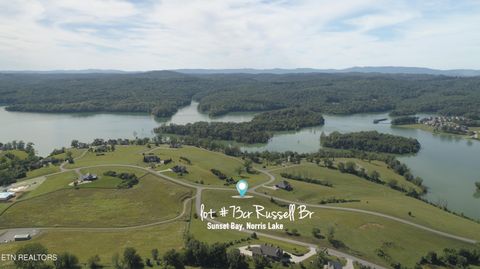 Tiny photo for 73 Russell Brothers Rd, Sharps Chapel, TN 37866 (MLS # 1318083)