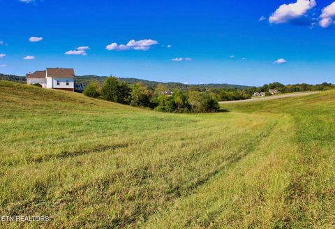 Tiny photo for 73 Russell Brothers Rd, Sharps Chapel, TN 37866 (MLS # 1318083)