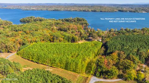 Tiny photo for 499 Juniper Court, Spring City, TN 37381 (MLS # 1319917)