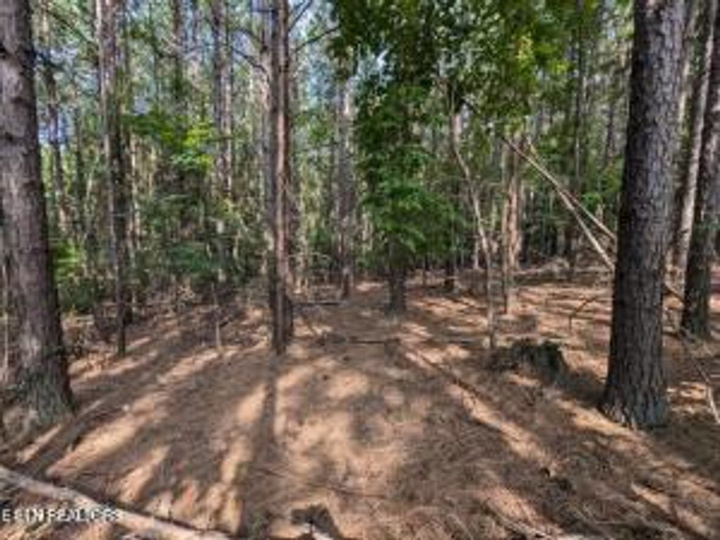 Photo of 499 Juniper Court, Spring City, TN 37381 (MLS # 1319917)