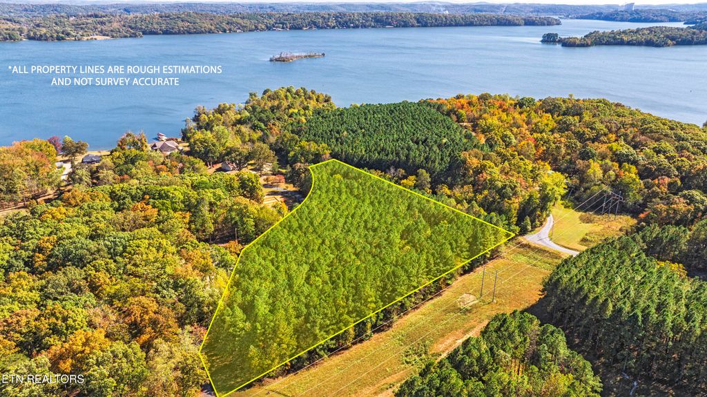 Photo of 499 Juniper Court, Spring City, TN 37381 (MLS # 1319917)