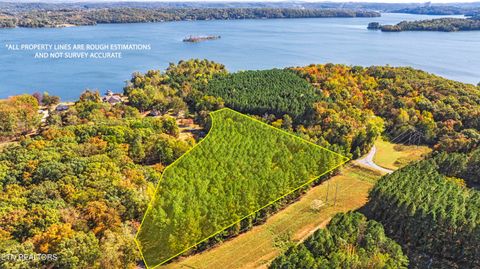 4.99 acres Juniper Court Spring City TN 37381