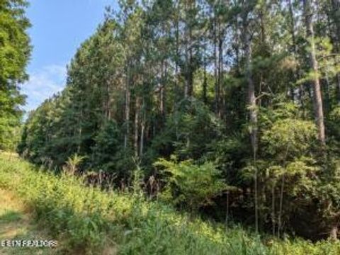 Tiny photo for 499 Juniper Court, Spring City, TN 37381 (MLS # 1319917)