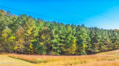 Tiny photo for 499 Juniper Court, Spring City, TN 37381 (MLS # 1319917)