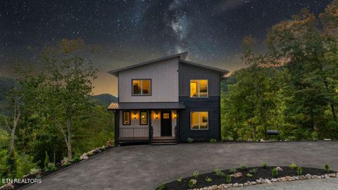 1423 Mountain Ash Way Sevierville TN 37876