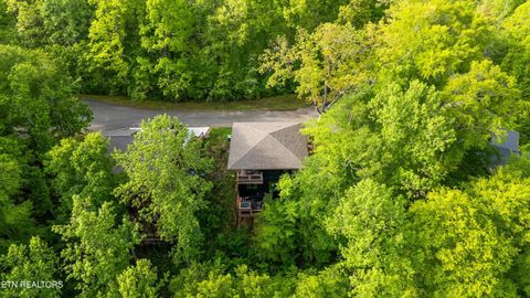 Tiny photo for 906 Saddle Creek Way, Sevierville, TN 37862 (MLS # 1324561)