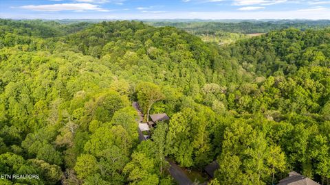 Tiny photo for 906 Saddle Creek Way, Sevierville, TN 37862 (MLS # 1324561)