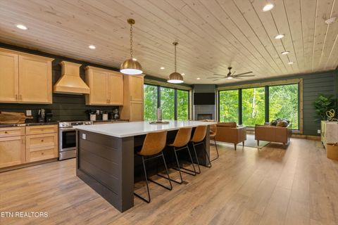 Tiny photo for 906 Saddle Creek Way, Sevierville, TN 37862 (MLS # 1324561)