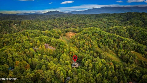 Tiny photo for 1570 Oldham Springs Way, Sevierville, TN 37876 (MLS # 1357466)