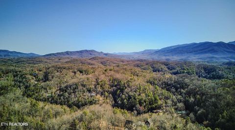 Tiny photo for 1614 Lake Drive, Gatlinburg, TN 37738 (MLS # 1335560)